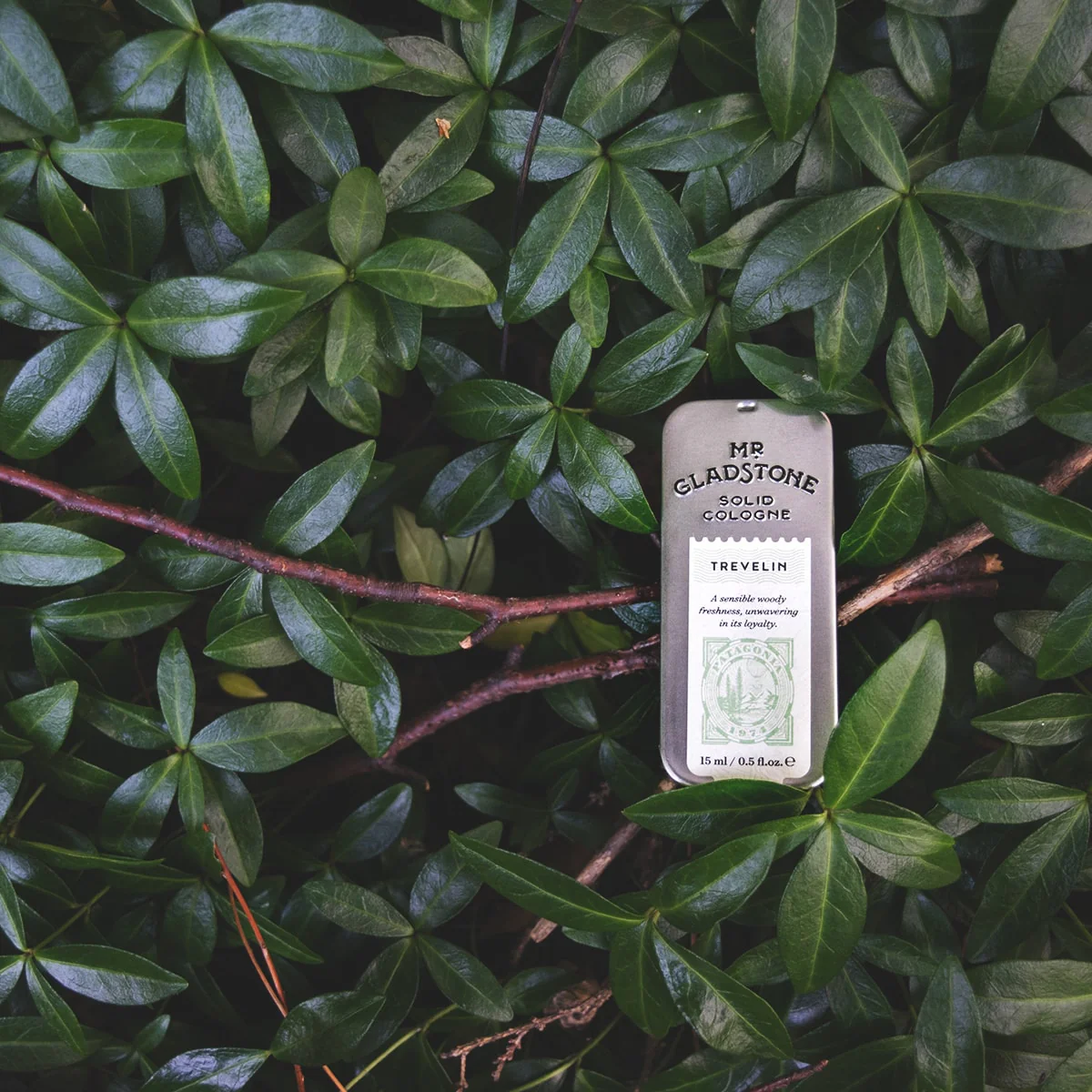 Mr. Gladstone Fine Solid Cologne - Image 5
